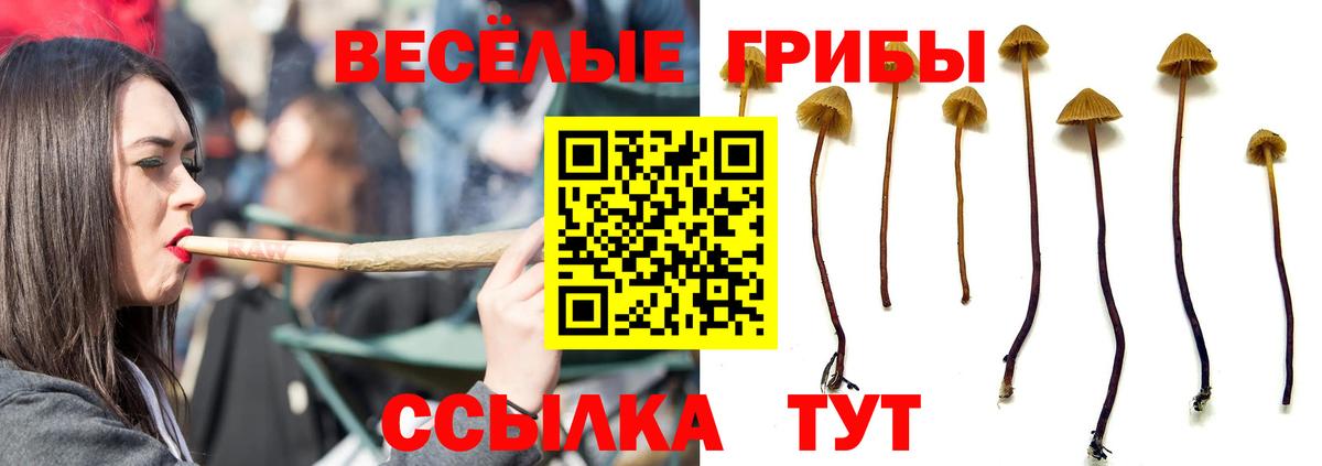 Галлюциногенные грибы мицелий  Вход с VPN  где продают наркотики  Псилоцибиновые грибы MAGIC MUSHROOMS  Кировск 